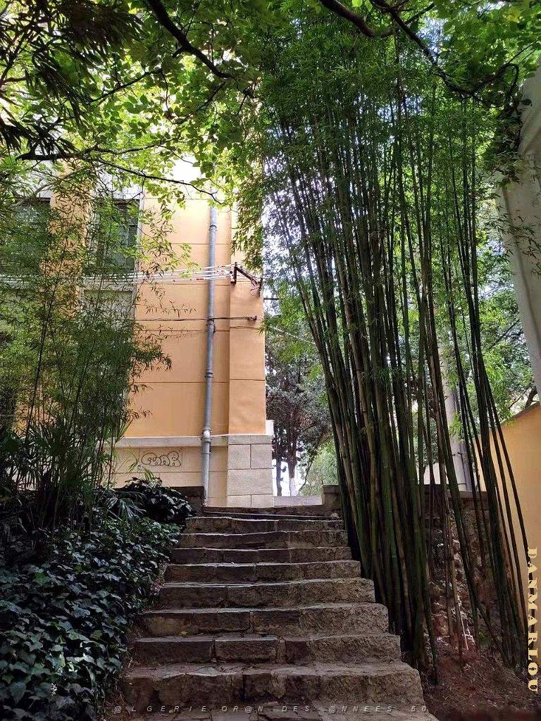 Kunming - Universite du Yunnan (61).jpg